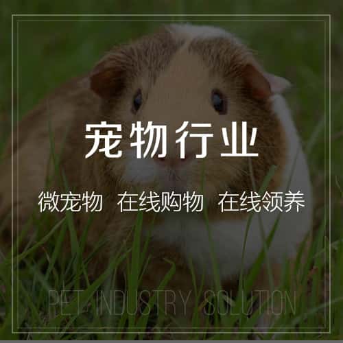 泉州宠物
