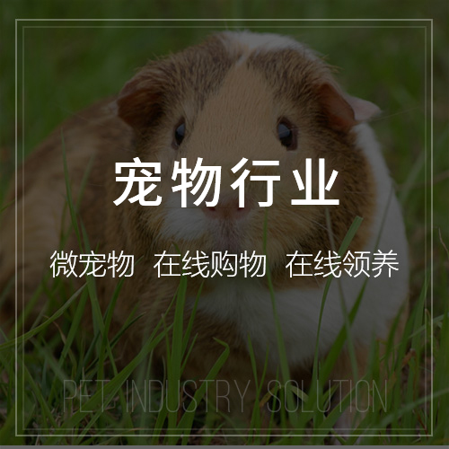 高端网站定制中的动态数据可视化设计趋势